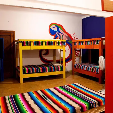 Hostal Chesal-3