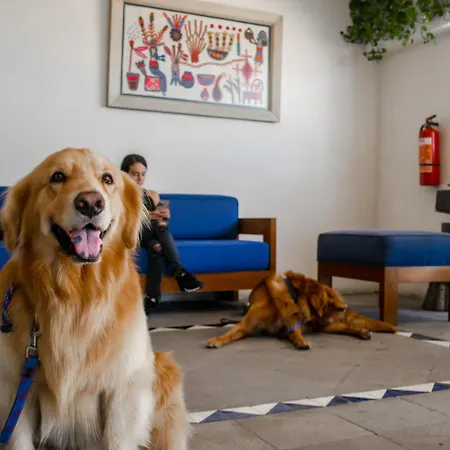 Puerto de Luna Pet Friendly&Family Suites-2