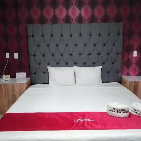 AUTO HOTEl MONTE CARLO-2