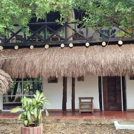 El refugio del tiburón-3