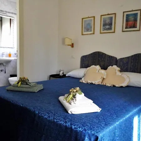 B&B Myosotis-3