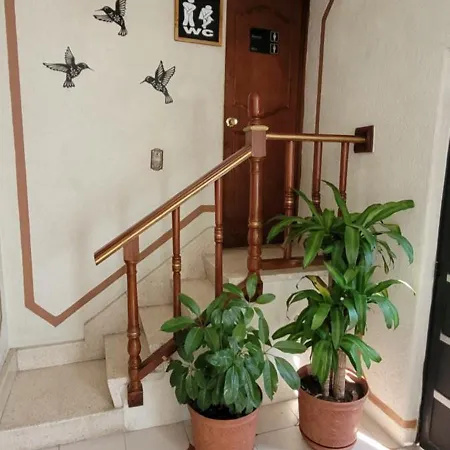 Casa Q BnB-3