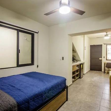 Loft Alatorre-2