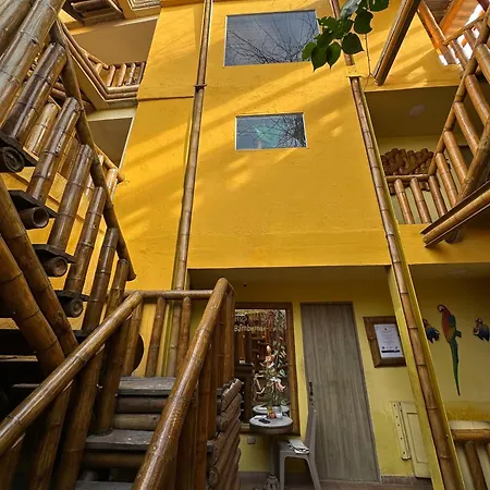 Hostal Bambumar-2