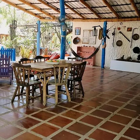 El refugio del tiburón-2