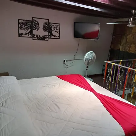 Hotel Boutique Ha-3