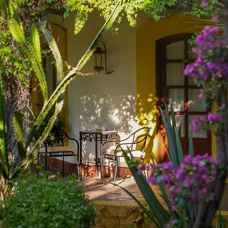 Hotel Hacienda Los Laureles-3