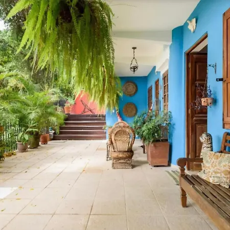 Casa Verde-3
