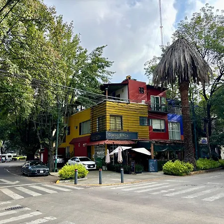 Collection O Casa Anzures Thematic, Mexico City-3