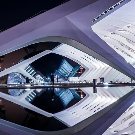 Apartamentos Ciudad De Las Artes Y Las Ciencias-3