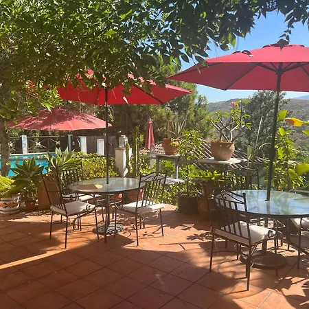 Casa Simba B&B (Adults Only)-3