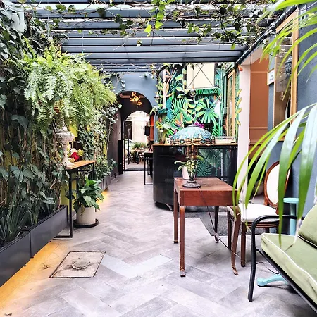 Casa Pánuco-2