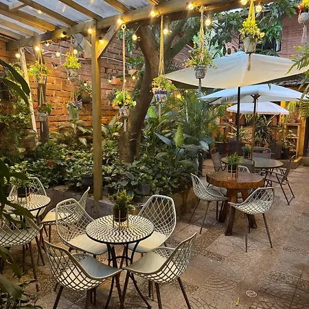 The Garden Lleras 10-2