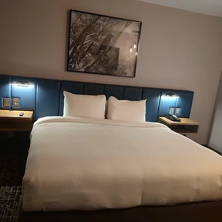 Doubletree Suites By Hilton Saltillo-3