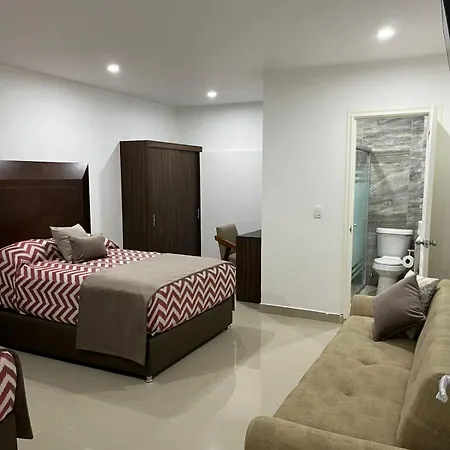 La casa de las palmeras-2
