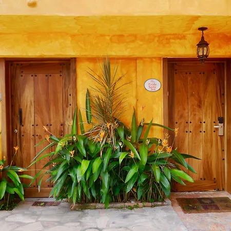 Casa Cupula LGBT Luxury Resort-3