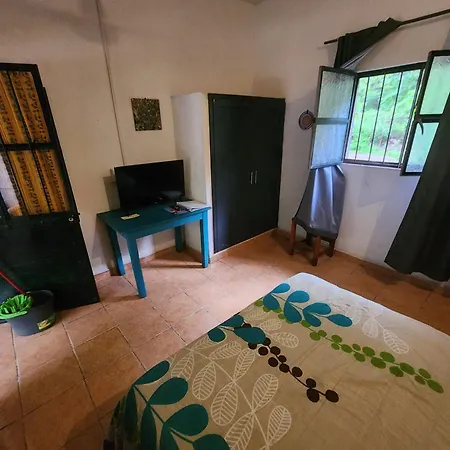 Casa Río Cuale&River Retreat-3