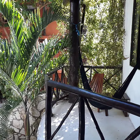 Siesta Fiesta Hotel - 5Th Avenue (Adults Only)-2