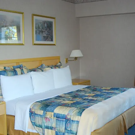 Rio Vista Inn Business High Class Tampico-2