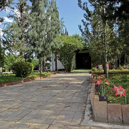 Capital O Hotel La Fuente, Saltillo-3