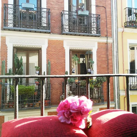 Hostal Bruña Paseo del Prado-2
