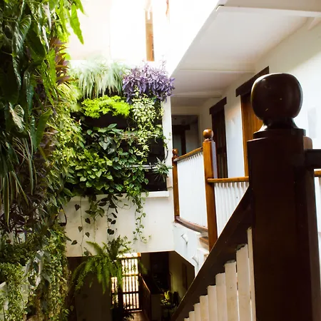 Casa Ebano 967-2