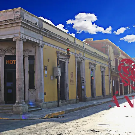 Hotel Anua Oaxaca-3