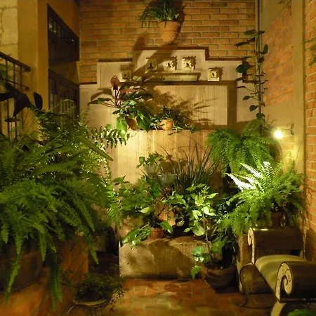 Casa Aurea Hotel Boutique-2