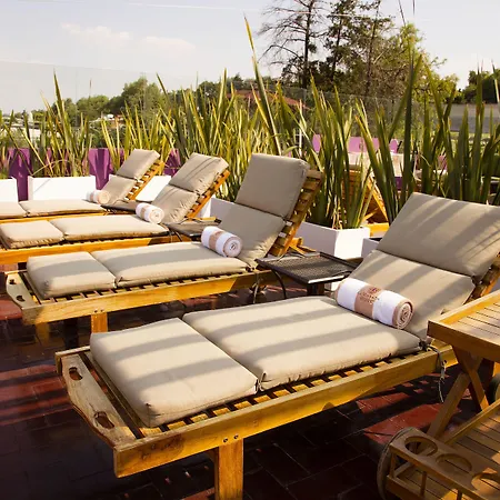 La Morada Tepotztolan Boutique & Spa Hotel-3