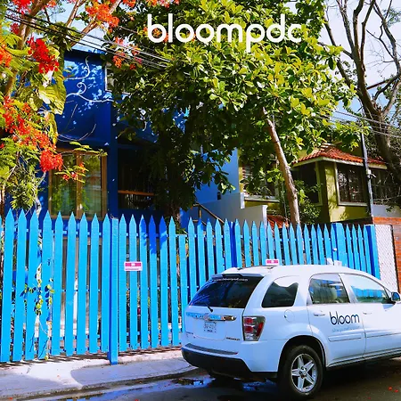 Bloom! Exclusive Boutique B&B (Adults Only)-3