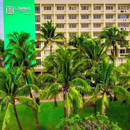 Gamma Tampico-3