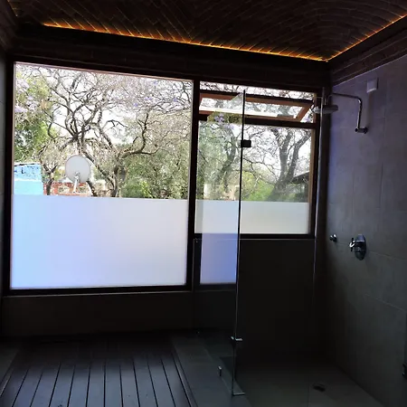 Casa Coyoacan-3