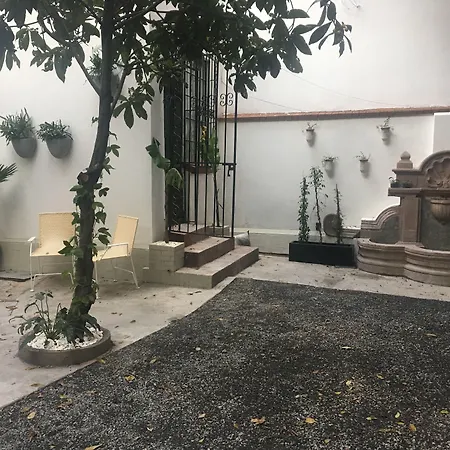 Orchid House Mexico City-3