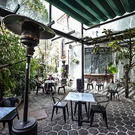 Orchid House Mexico City-2