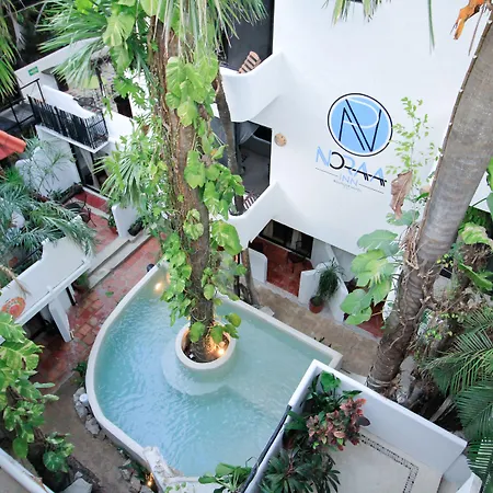 Moonshine Hotel-2