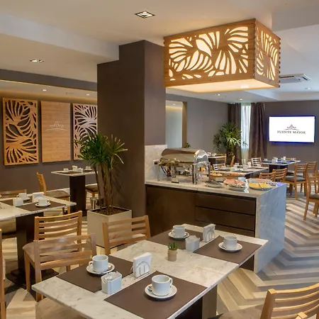 Fuente Mayor Hotel Ciudad de Mendoza-3