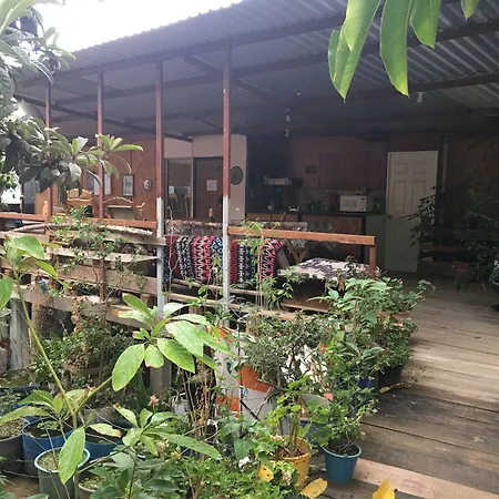 La Casa Del Nenufar-2