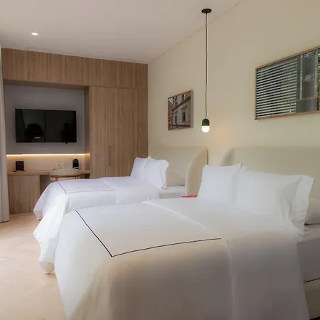 Casona Roma Norte-2