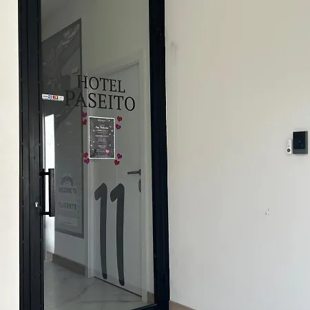 Hotel Paseito-2