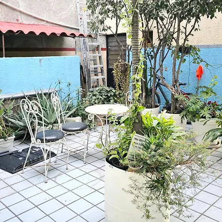 El Pino - Hotel Economico Guadalajara-3