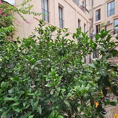Hotel Palermo-2