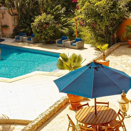 Casa Las Palmas Hotel Boutique-2