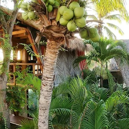 A&V Hotel Boutique-3