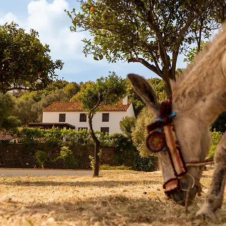 Finca Santa Teresa, Casa Granada-2