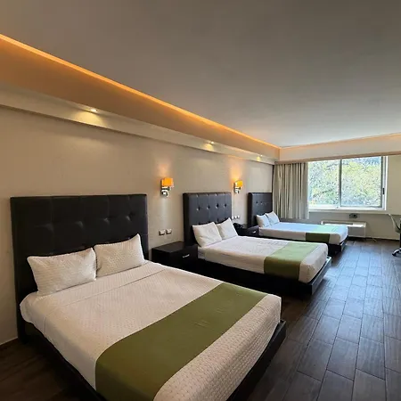 Hotel Diana del Bosque by DOT Urban-2
