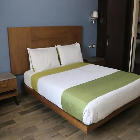 Hotel Diana del Bosque by DOT Urban-3