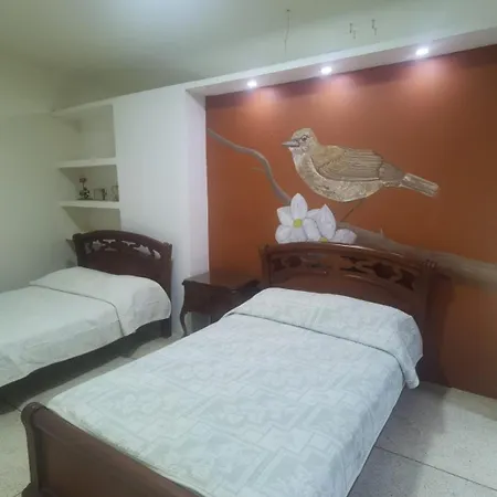 Roof Hostel-2