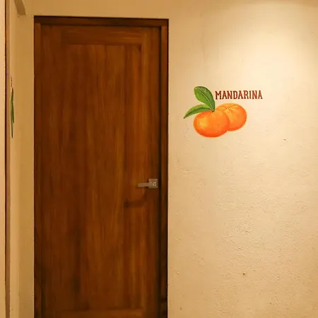Hotel Casa Ortiz-2