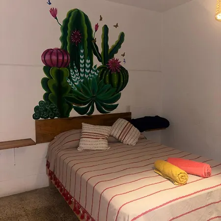 Hostel Casa Maguey-3