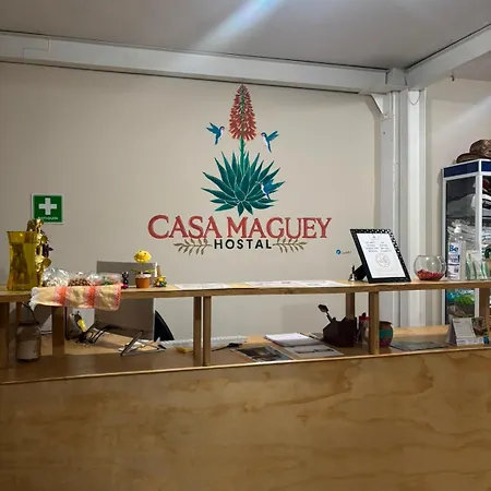 Hostel Casa Maguey-2
